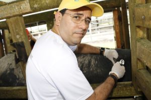 Sepror e Ufam anunciam parceria para desenvolver a pecuária bubalina no Amazonas