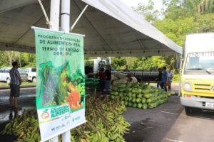 +Agricultores familiares de 17 municípios do Amazonas recebem pagamento por alimentos comercializados