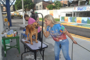 Semulsp promove acolhimento de animais abandonados na secretaria