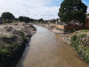 Prefeitura de Manaus realiza ação ambiental pelo Dia Internacional das Florestas