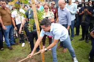 Prefeitura lança aplicativo para gerenciar ações de arborização na cidade